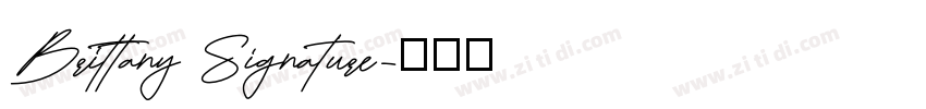 Brittany Signature字体转换